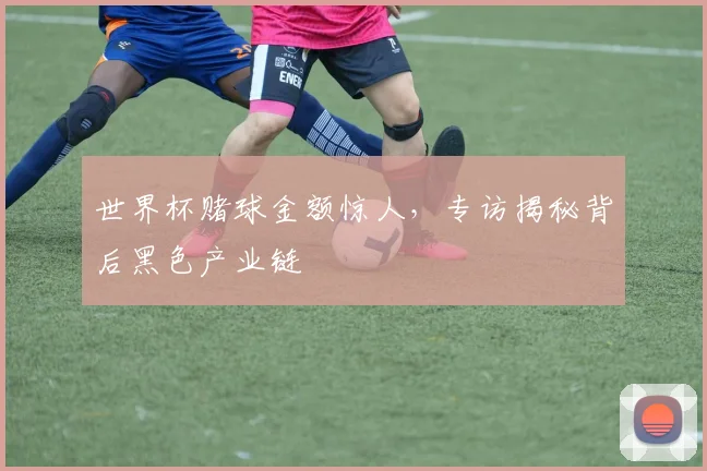 世界杯赌球金额惊人，专访揭秘背后黑色产业链