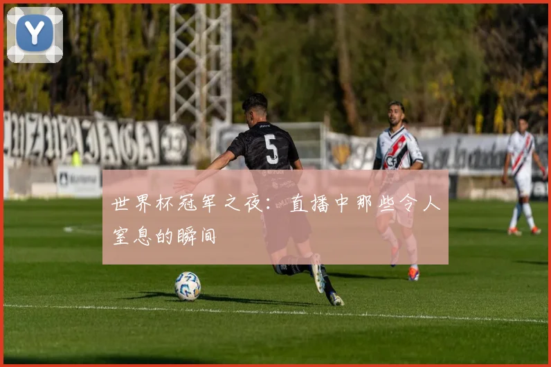 世界杯冠军之夜:直播中那些令人窒息的瞬间