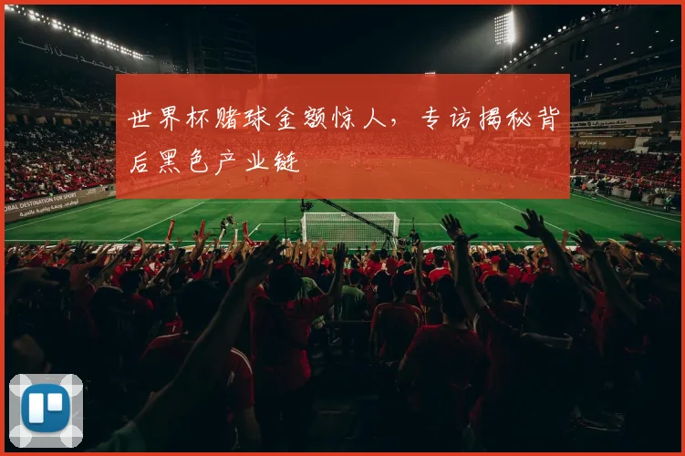 世界杯赌球金额惊人，专访揭秘背后黑色产业链