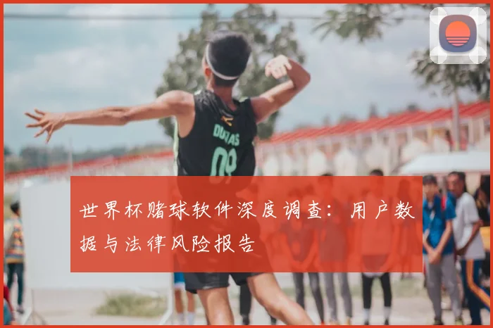世界杯赌球软件深度调查：用户数据与法律风险报告