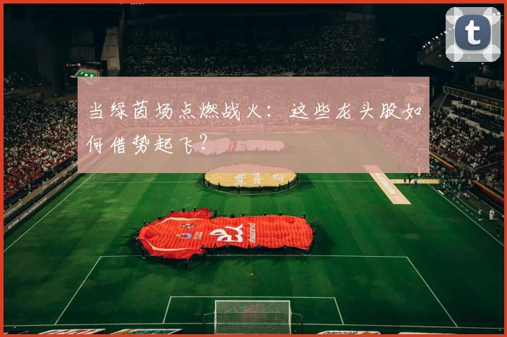 当绿茵场点燃战火：这些龙头股如何借势起飞？